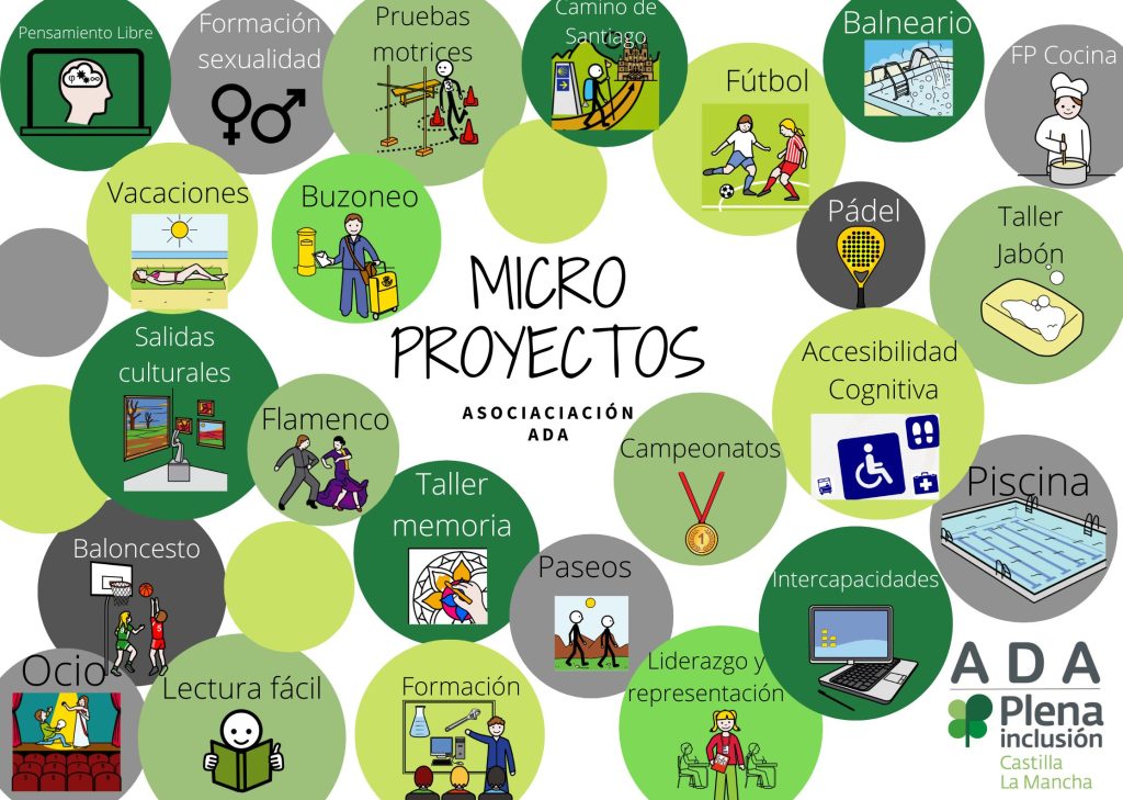 Micro proyectos (1)